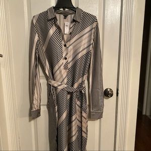 Ann Taylor Shirt Dress